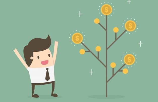 Blog - The Mango People