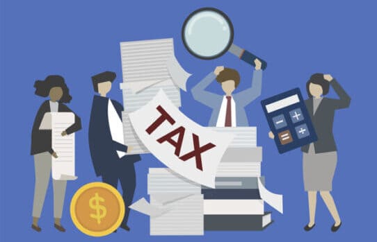 Blog - The Mango People