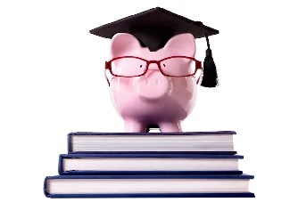 Blog - The Mango People